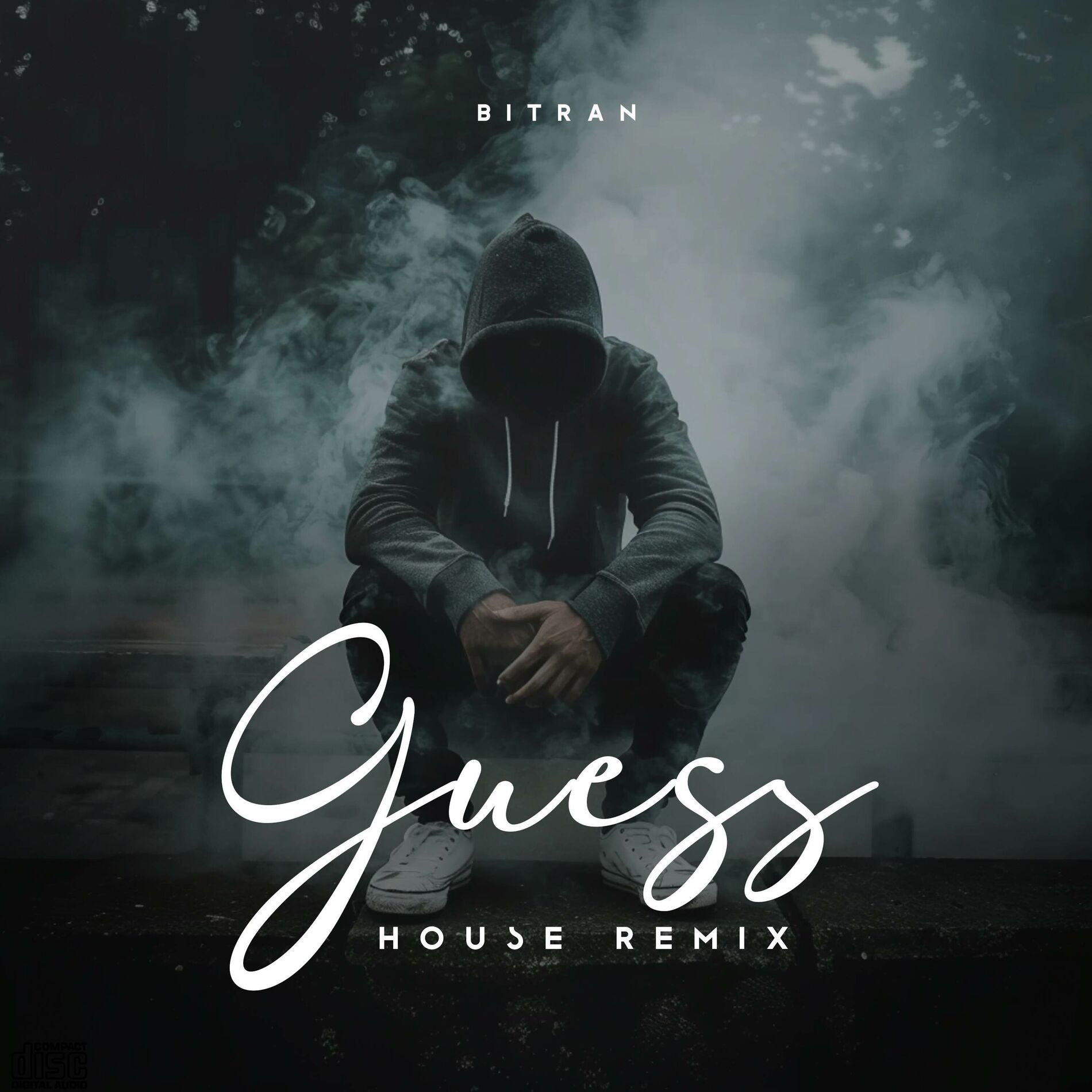 Album cover of Guess (House Remix)