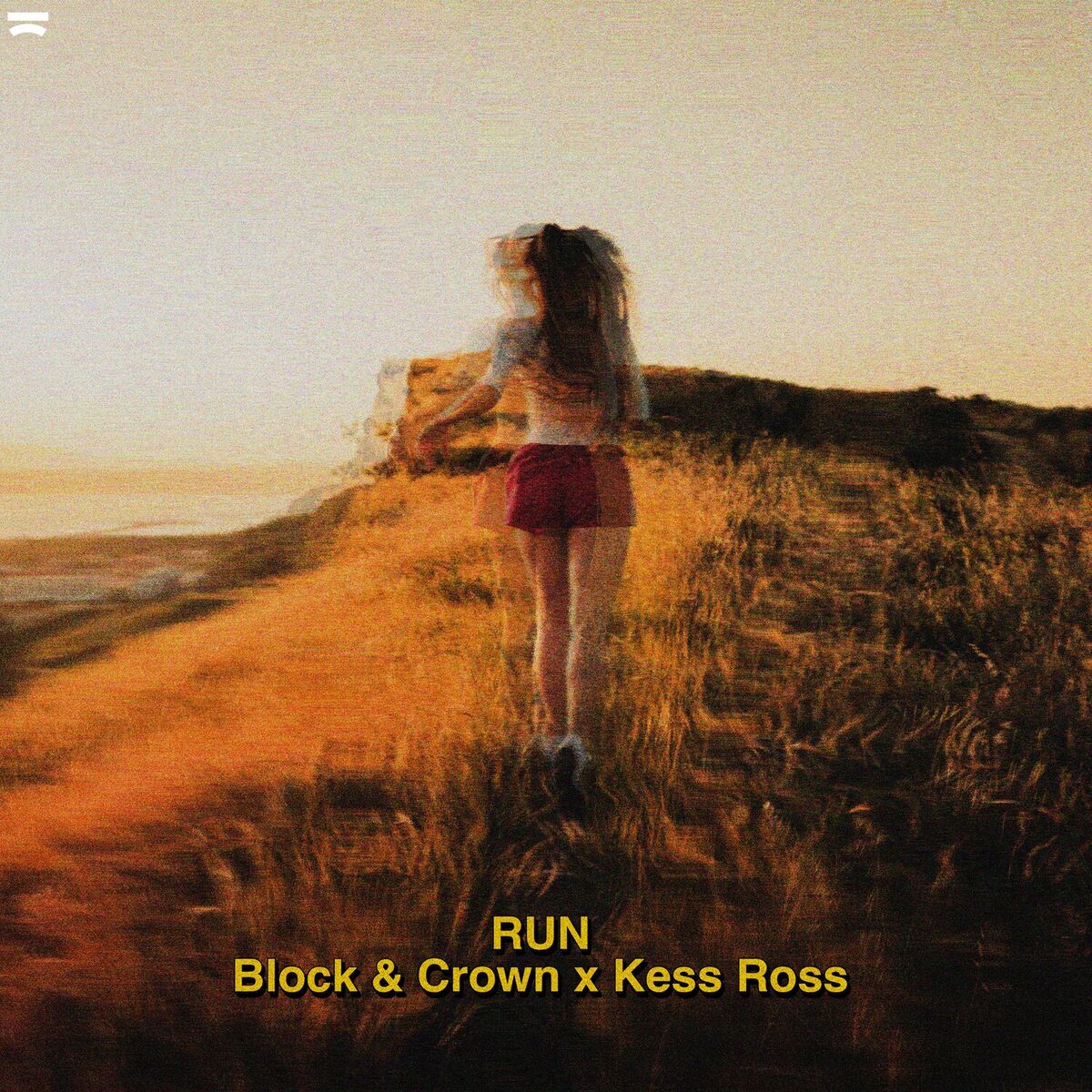 Album cover of Run