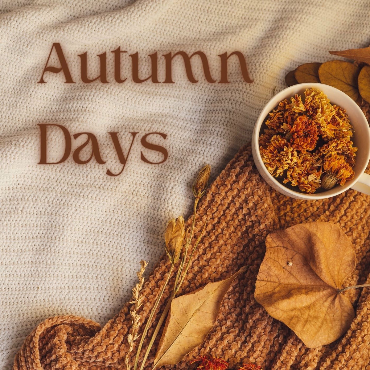 Album cover of Autumn Days
