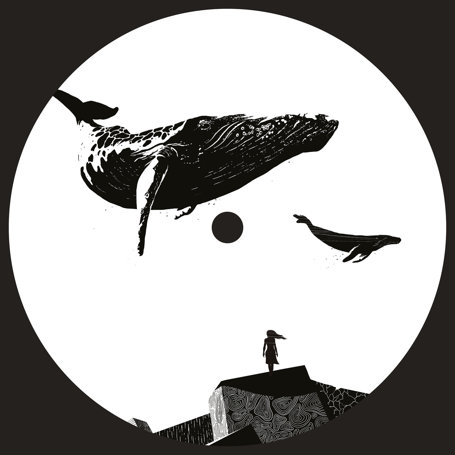 Album cover of Confusion Of Sound