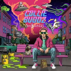 Cover of Own Business