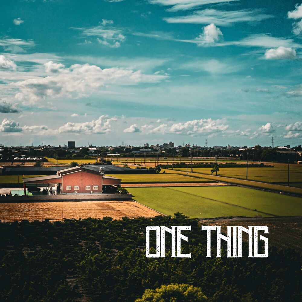 Picture of One Thing