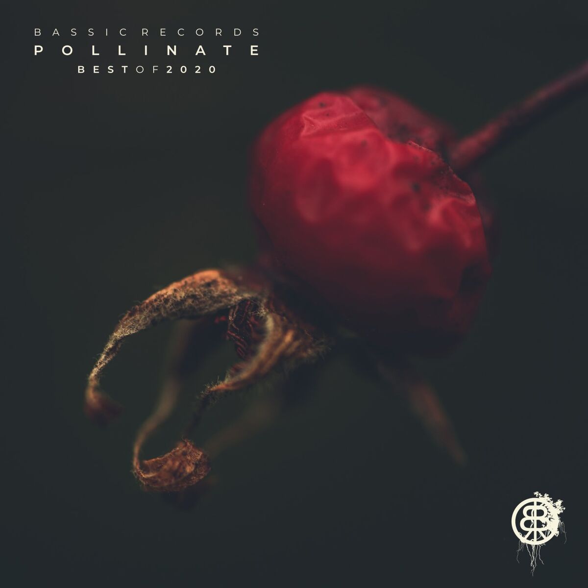 Album cover of Pollinate - Best of 2020