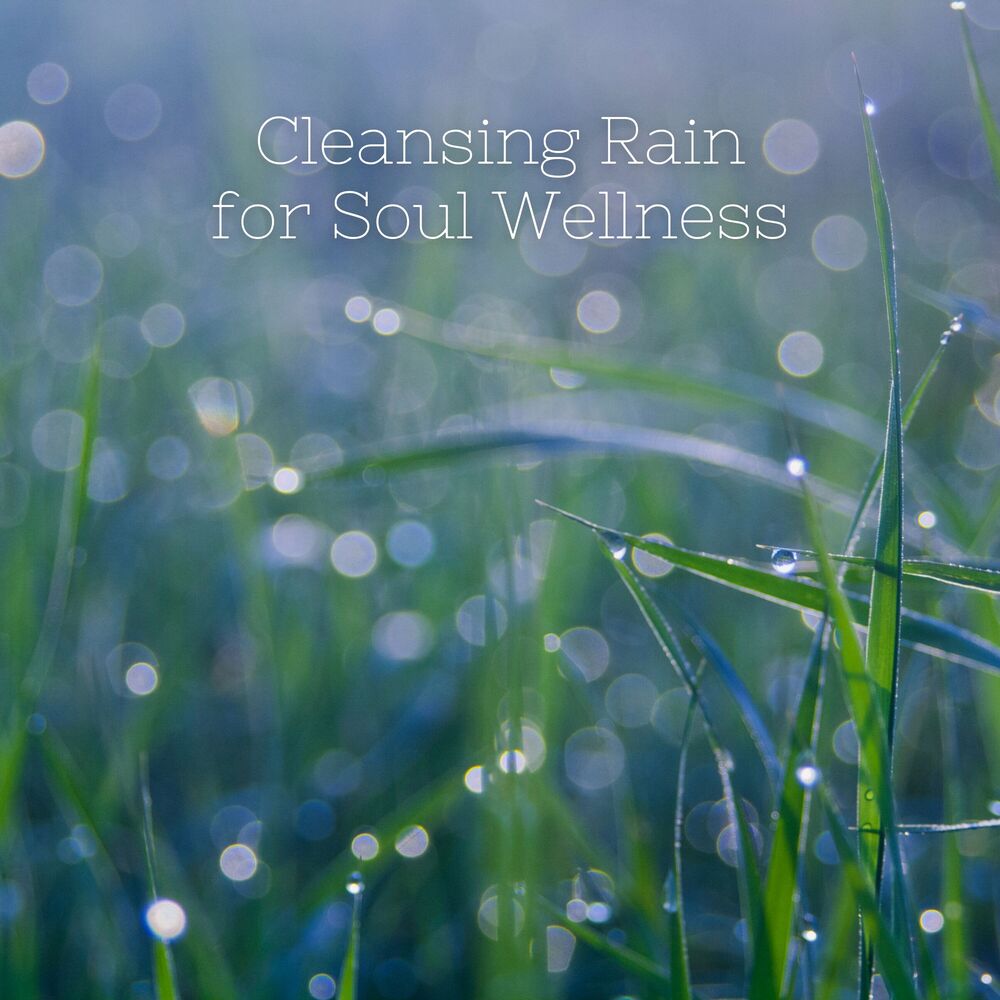 Picture of Cleansing Rain for Soul Wellness