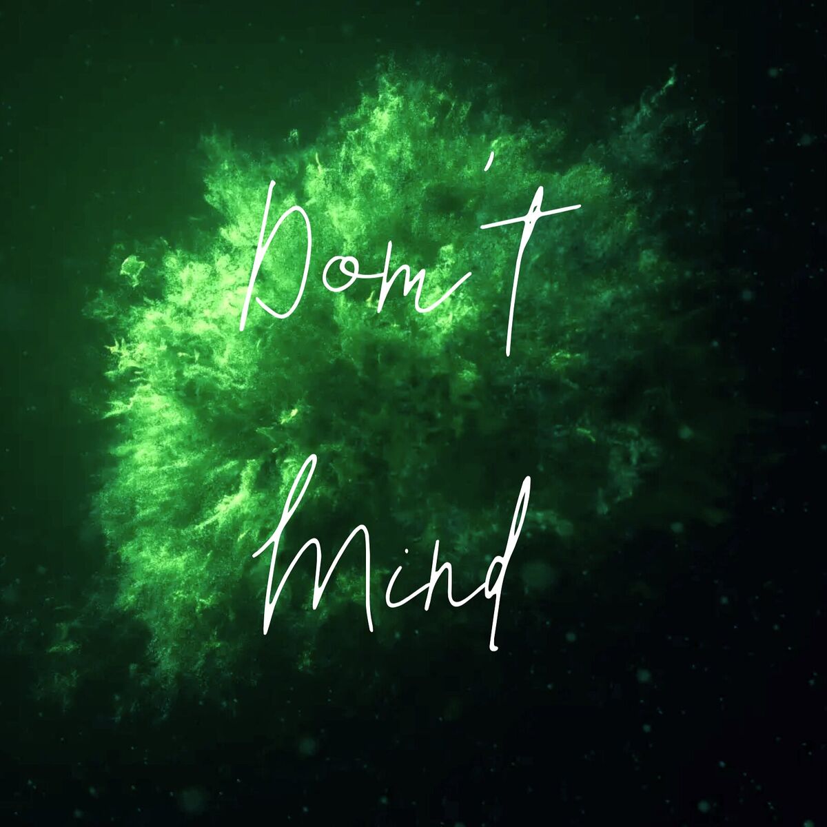 Album cover of Don't Mind