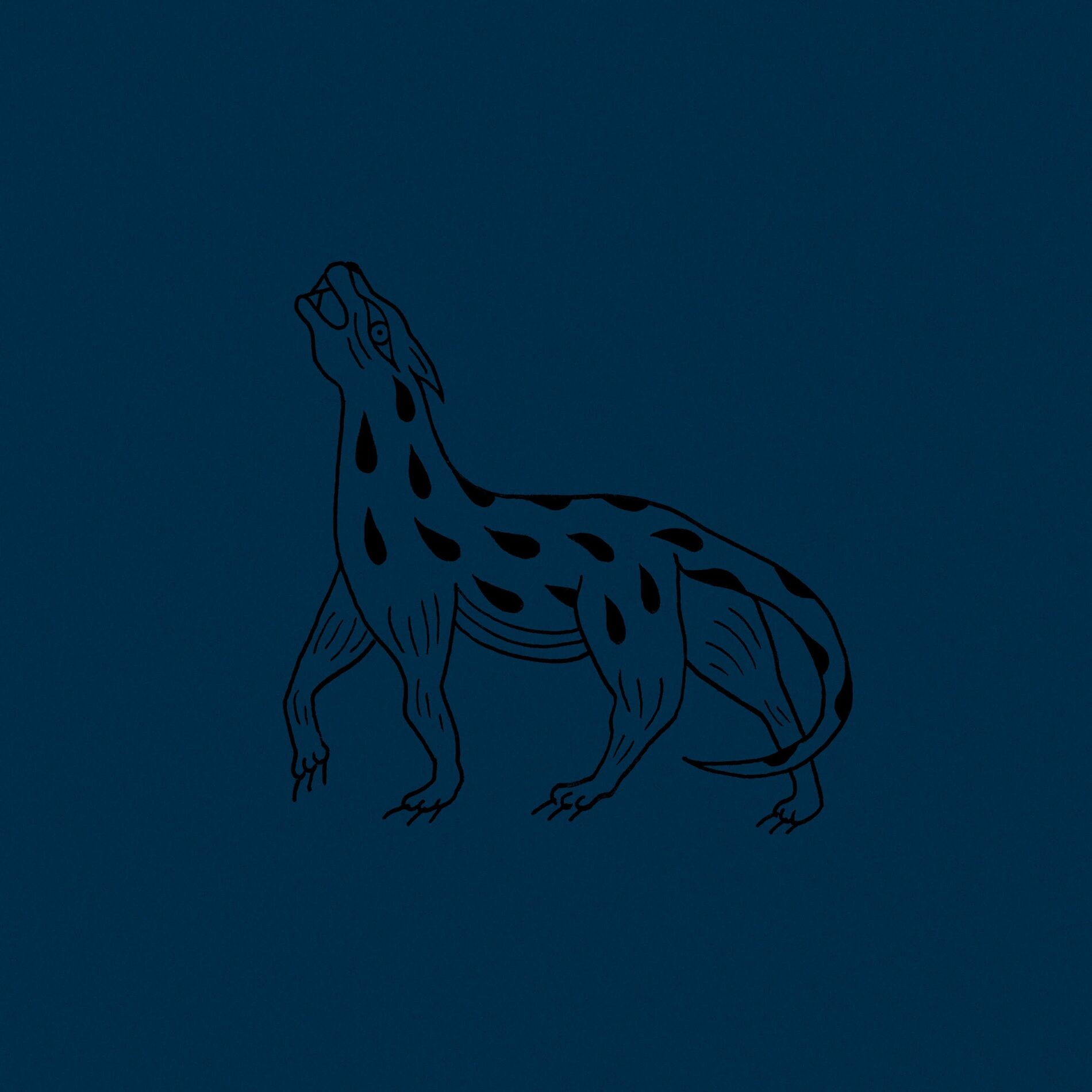 Album cover of Il Lupo Della Steppa