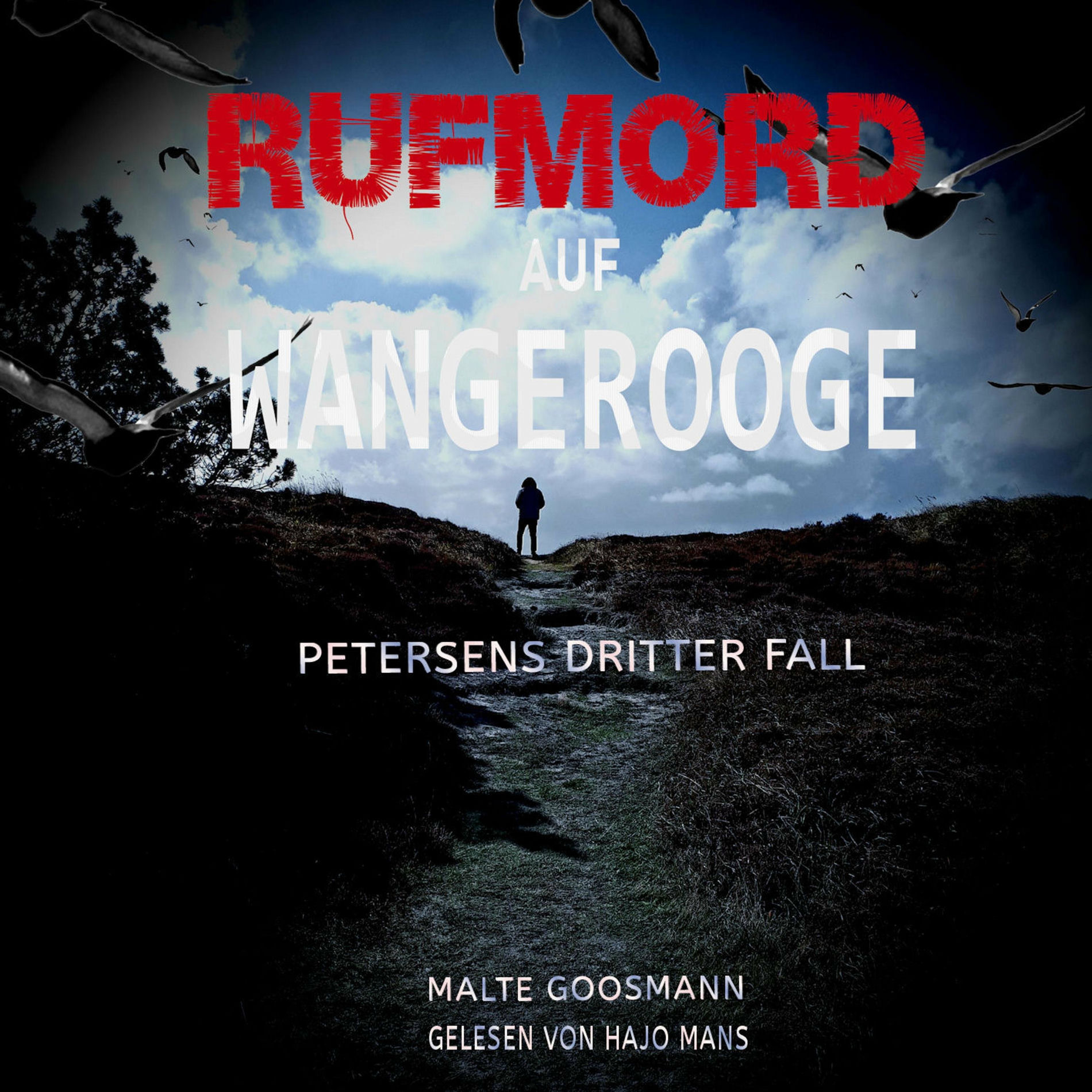 Album cover of Rufmord auf Wangerooge (Petersens dritter Fall)