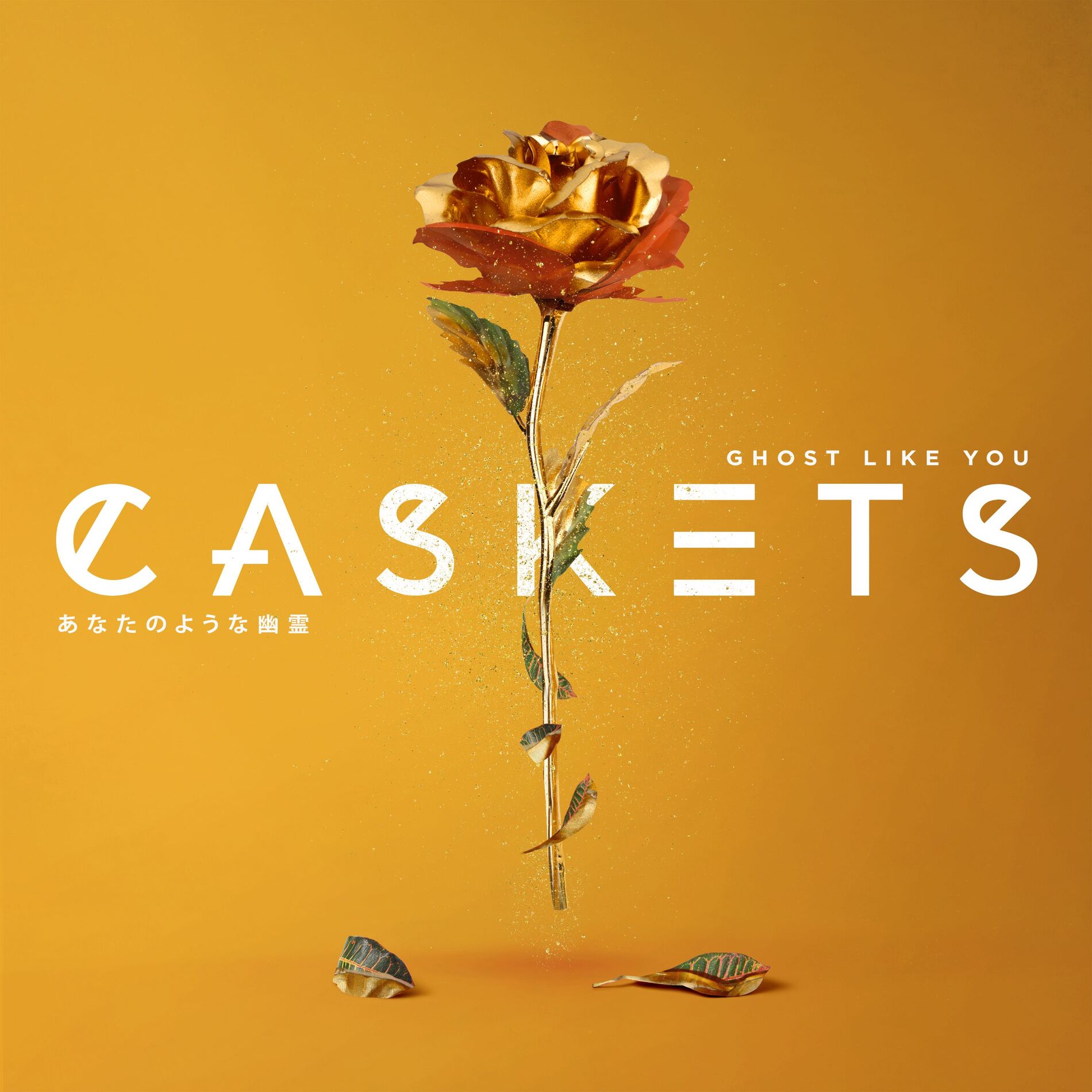 Album cover of Ghost Like You