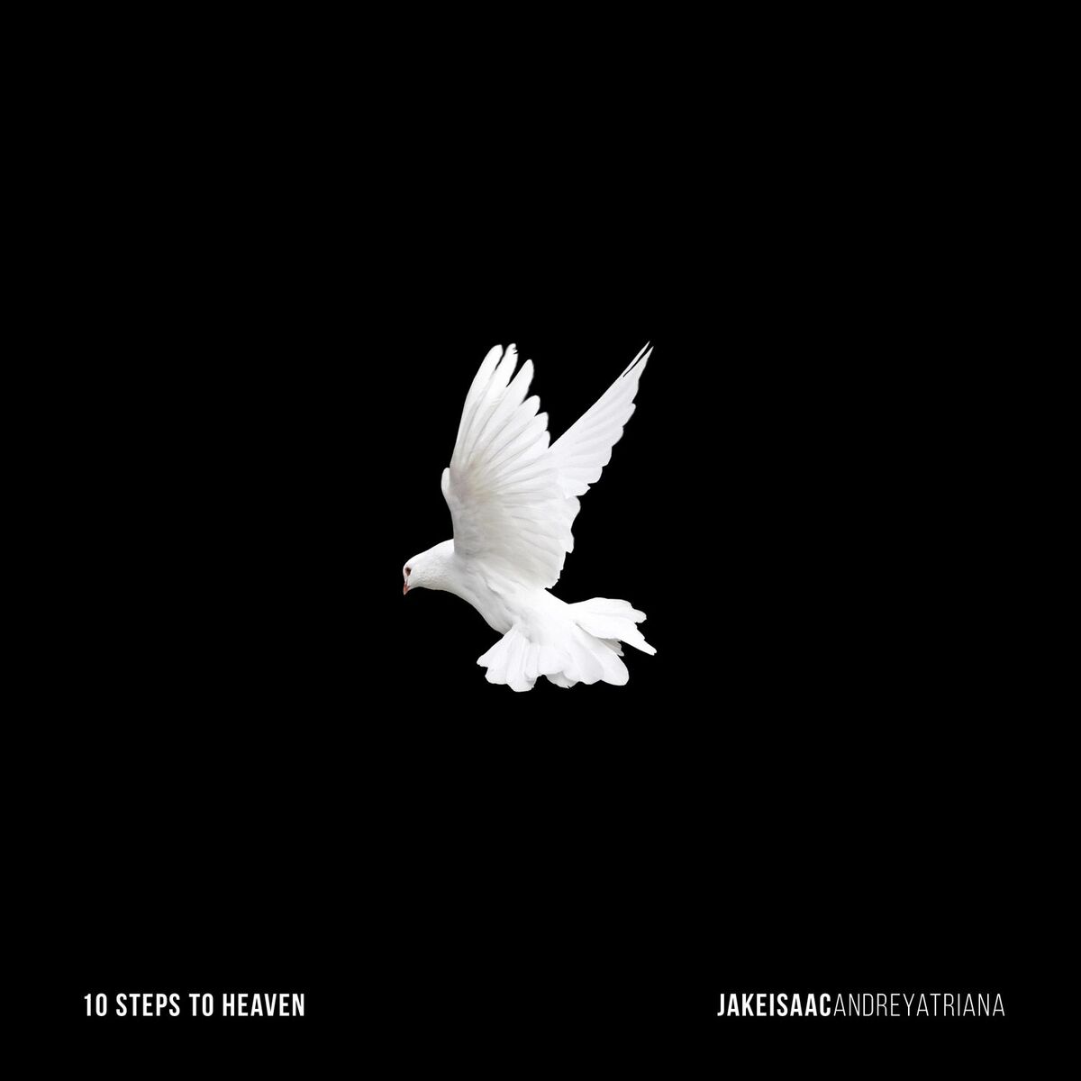 Album cover of 10 Steps to Heaven