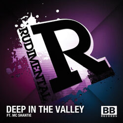 Cover of Deep in the Valley