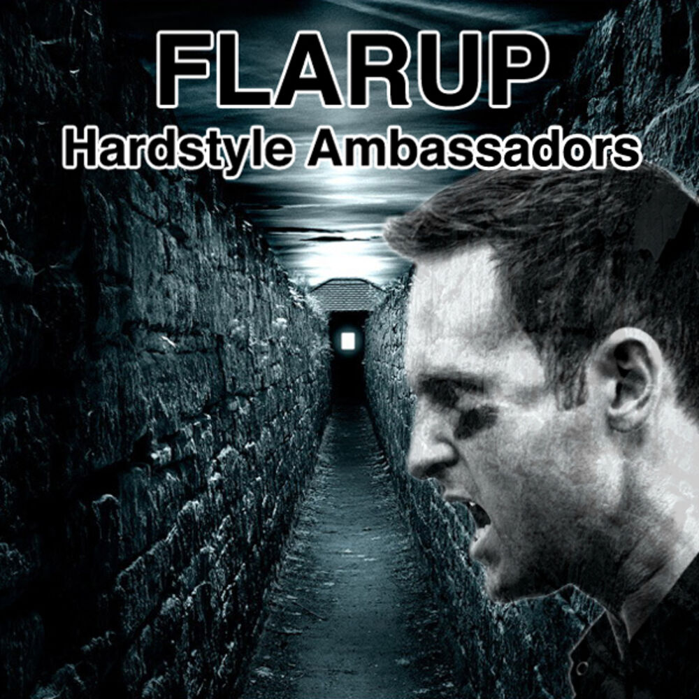 Picture of Hardstyle Ambassadors