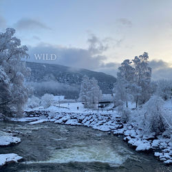 Capa de Wild (From the Original Netflix Series ¨Home For Christmas Season 3¨)