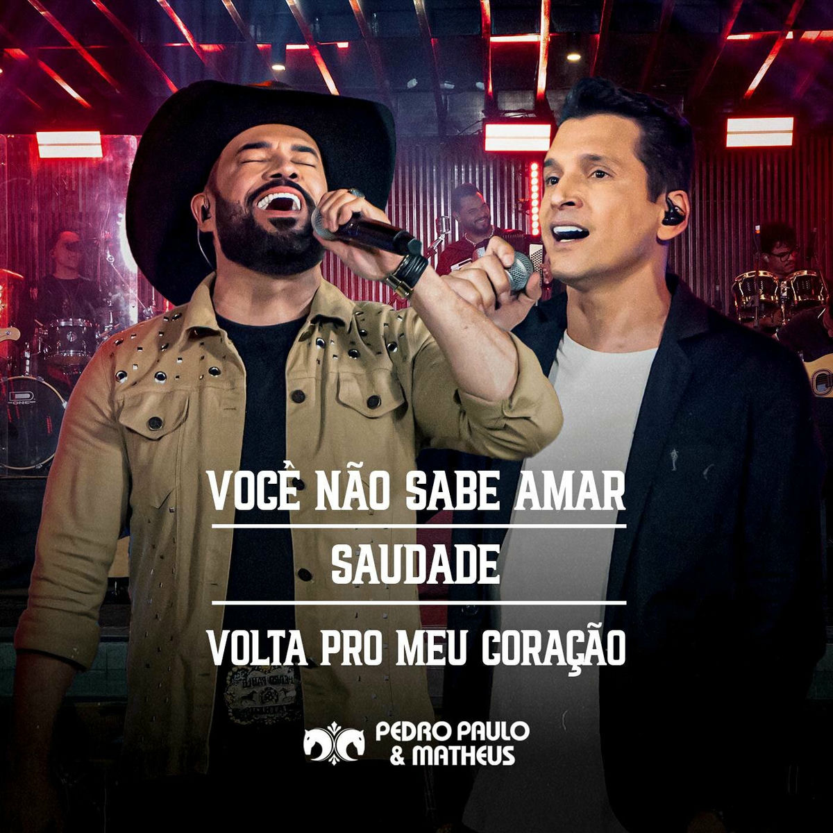 Album cover of Você Não Sabe Amar / Saudade / Volta Pro Meu Coração