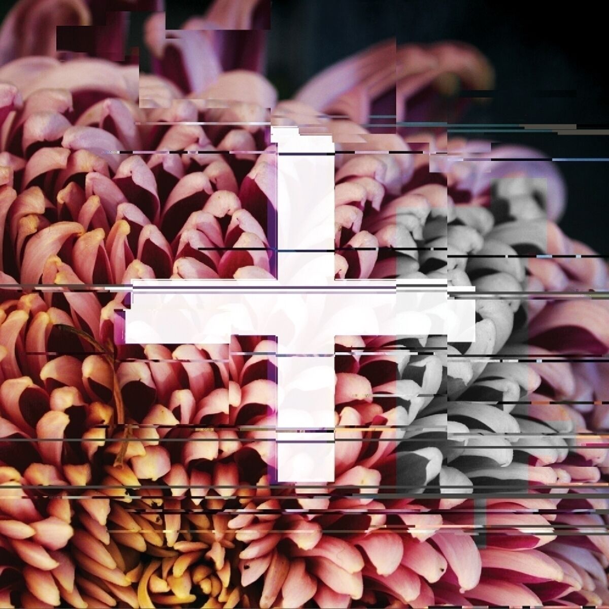 Album cover of +FE Music: The Reworks