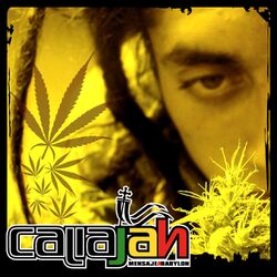 Cover of Mensaje a Babylon