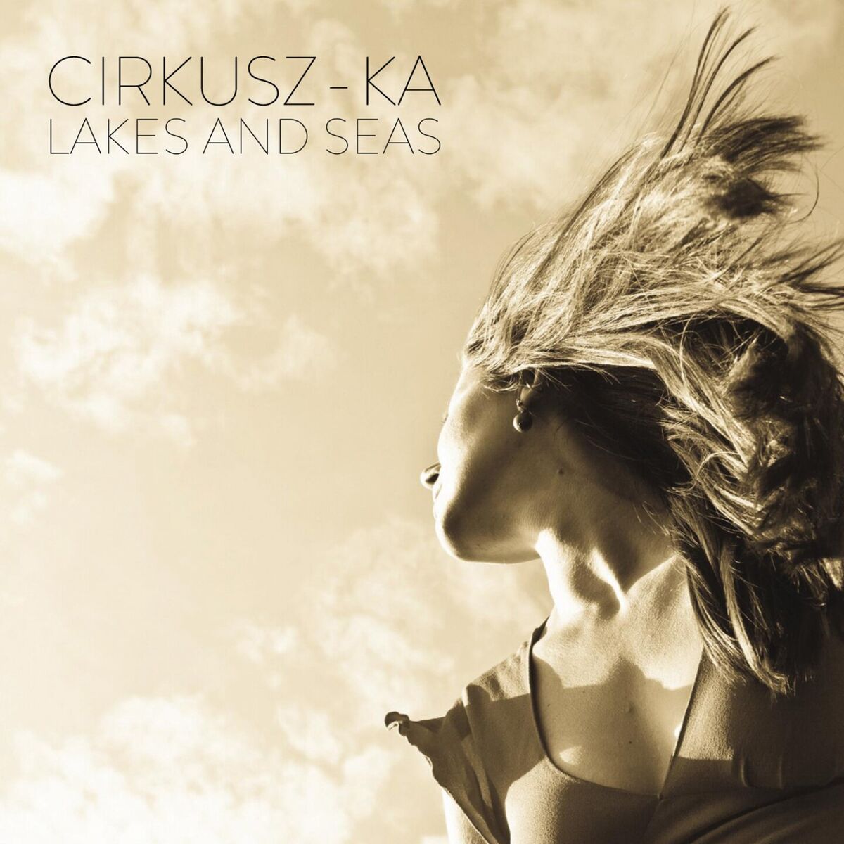 Album cover of Lakes and Seas