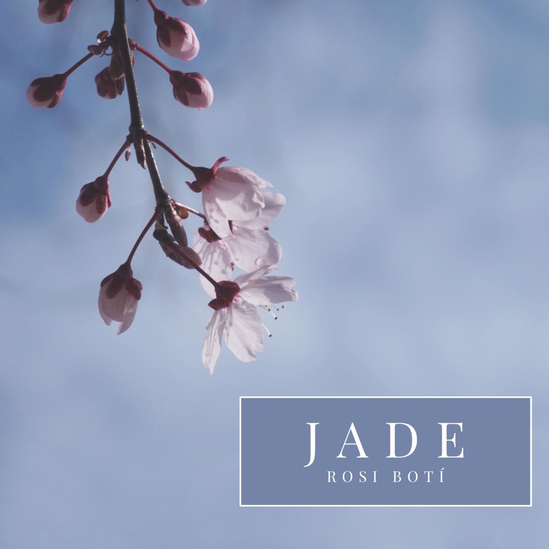 Album cover of JADE