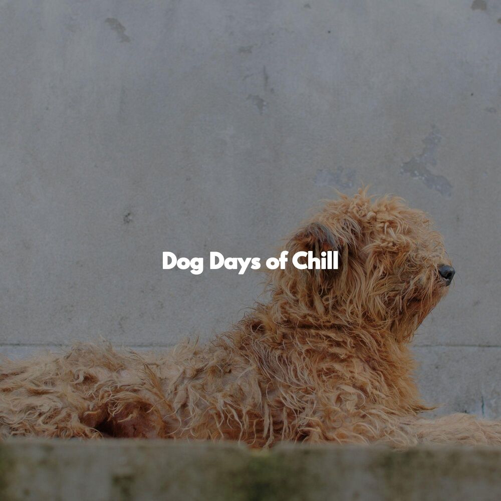 Picture of Dog Days of Chill
