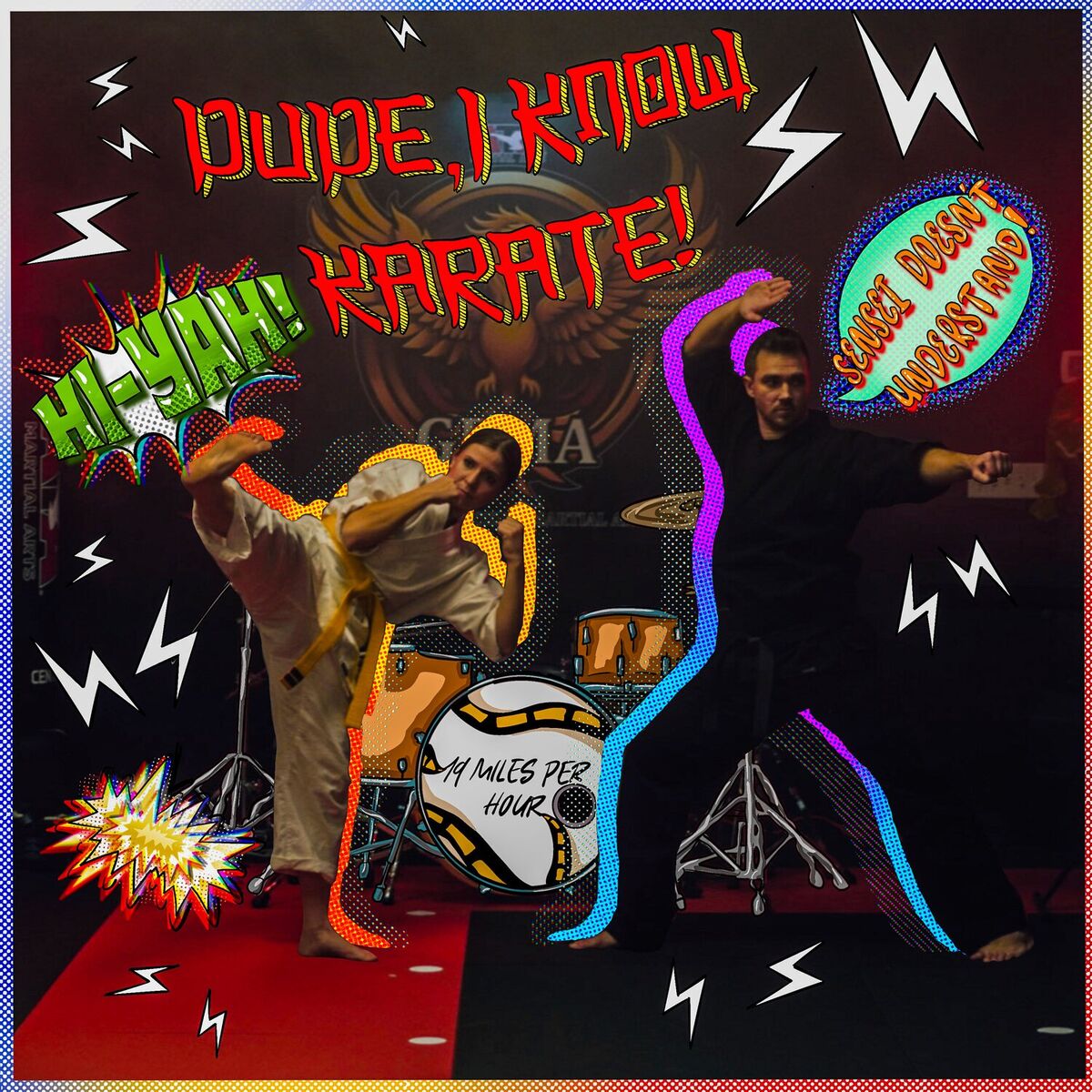 Album cover of Dude, I Know Karate!