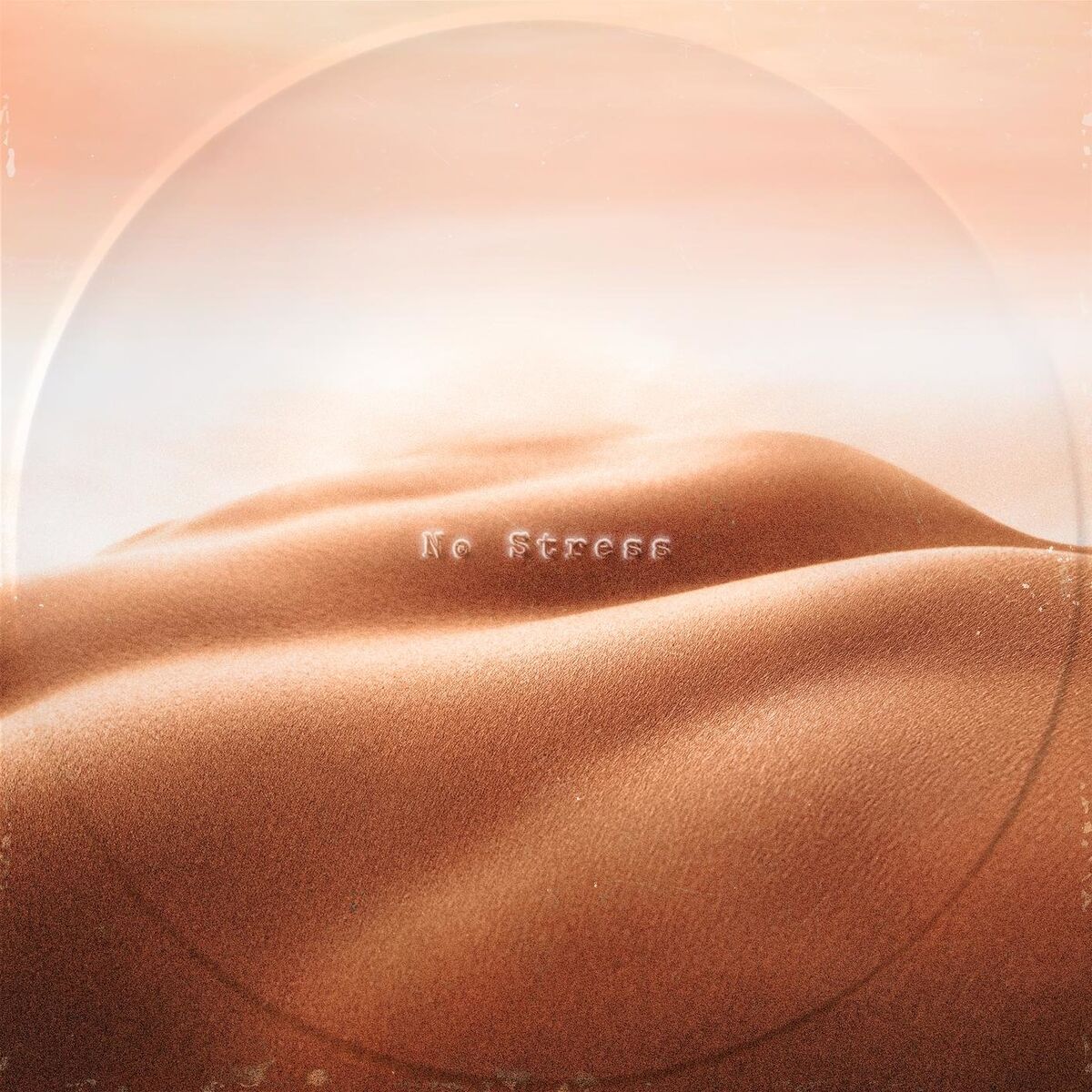 Album cover of No Stress
