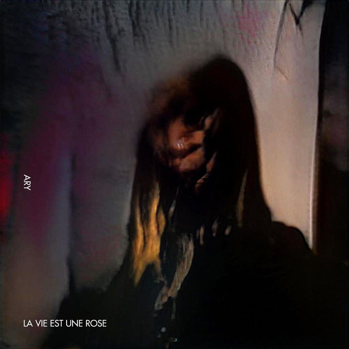 Album cover of La Vie Est Une Rose