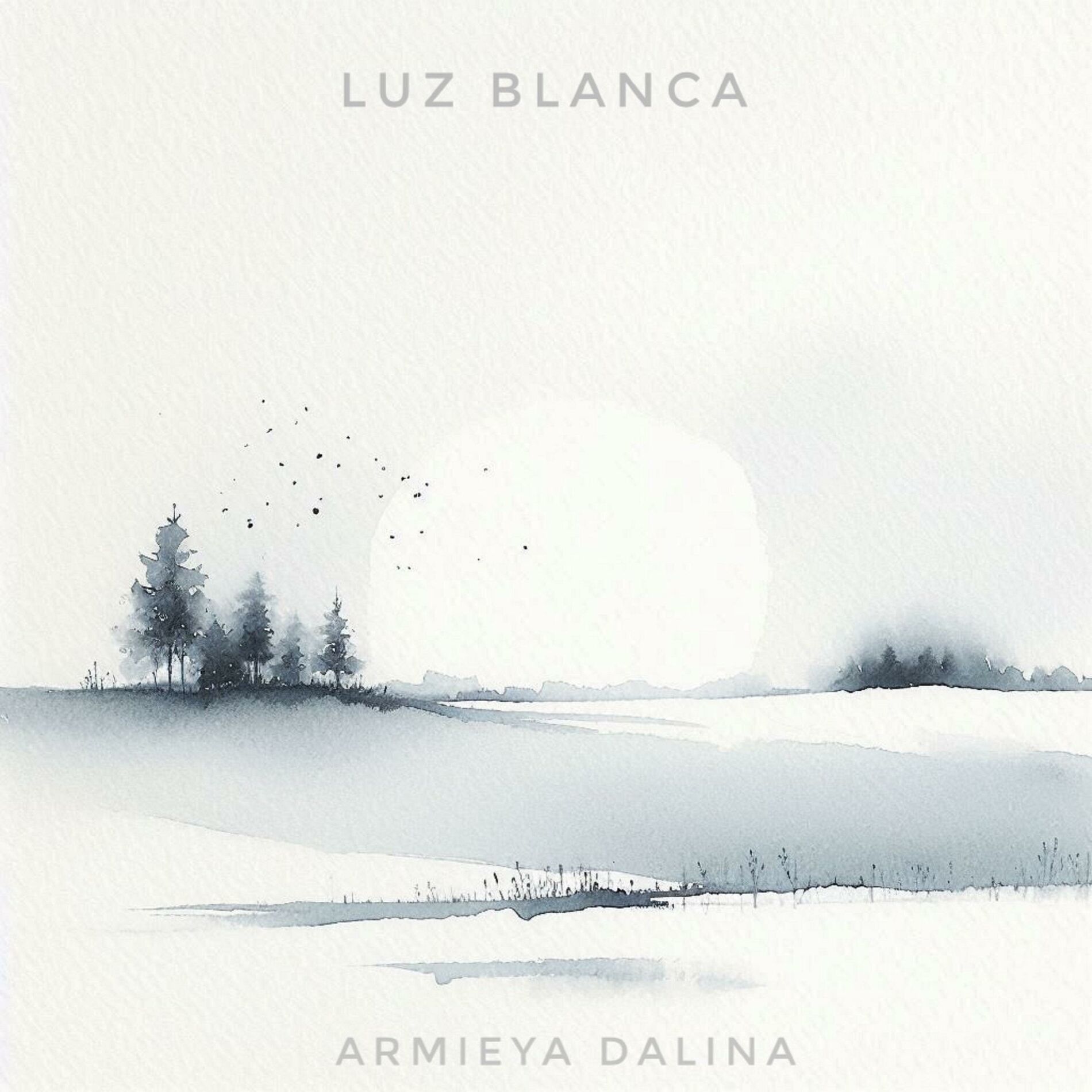 Album cover of Luz Blanca