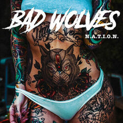 Cover of N.A.T.I.O.N.