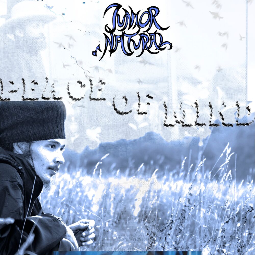 Picture of Peace Of Mind