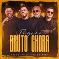 Porque o Bruto Chora