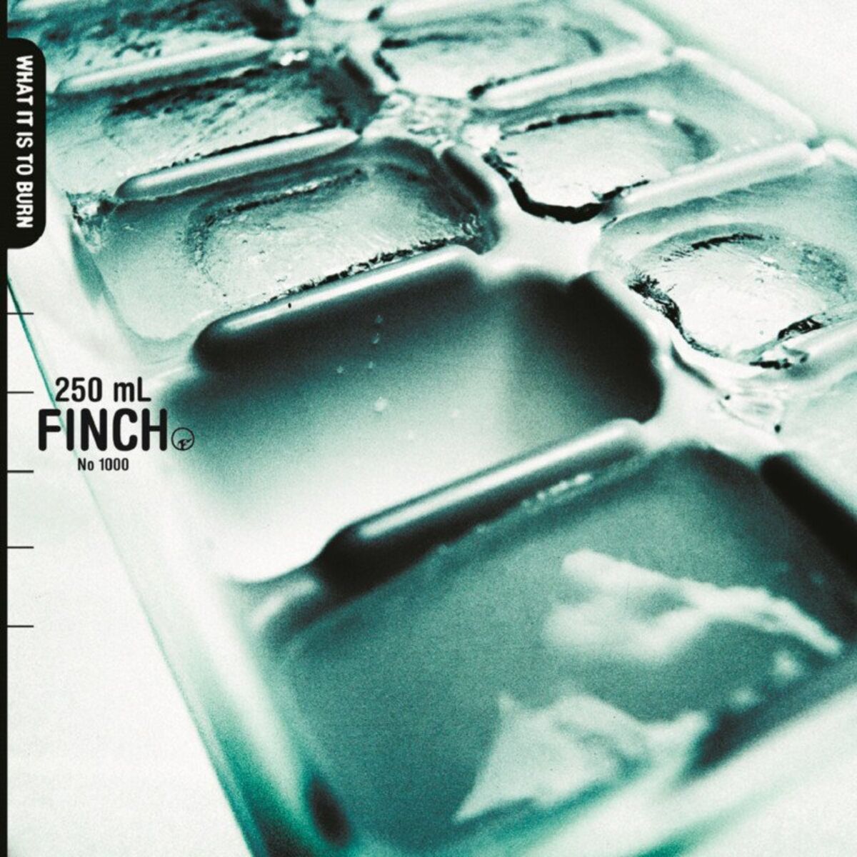 Album cover of What It Is To Burn