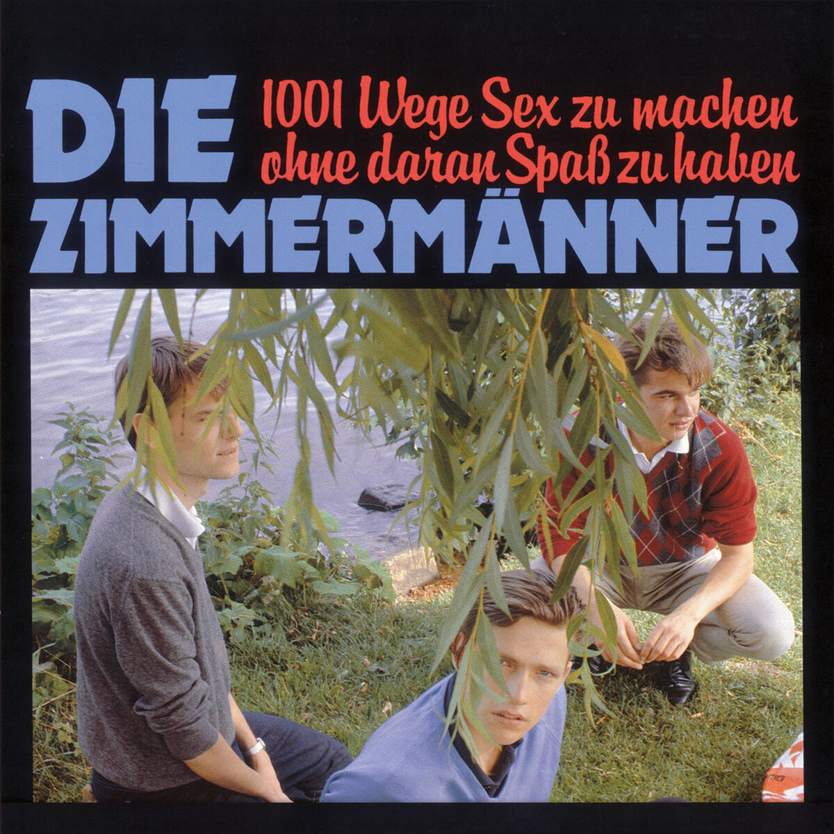 Album cover of 1001 Wege Sex zu machen ohne daran Spaß zu haben
