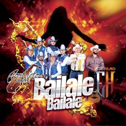 Cover of Bailale Bailale
