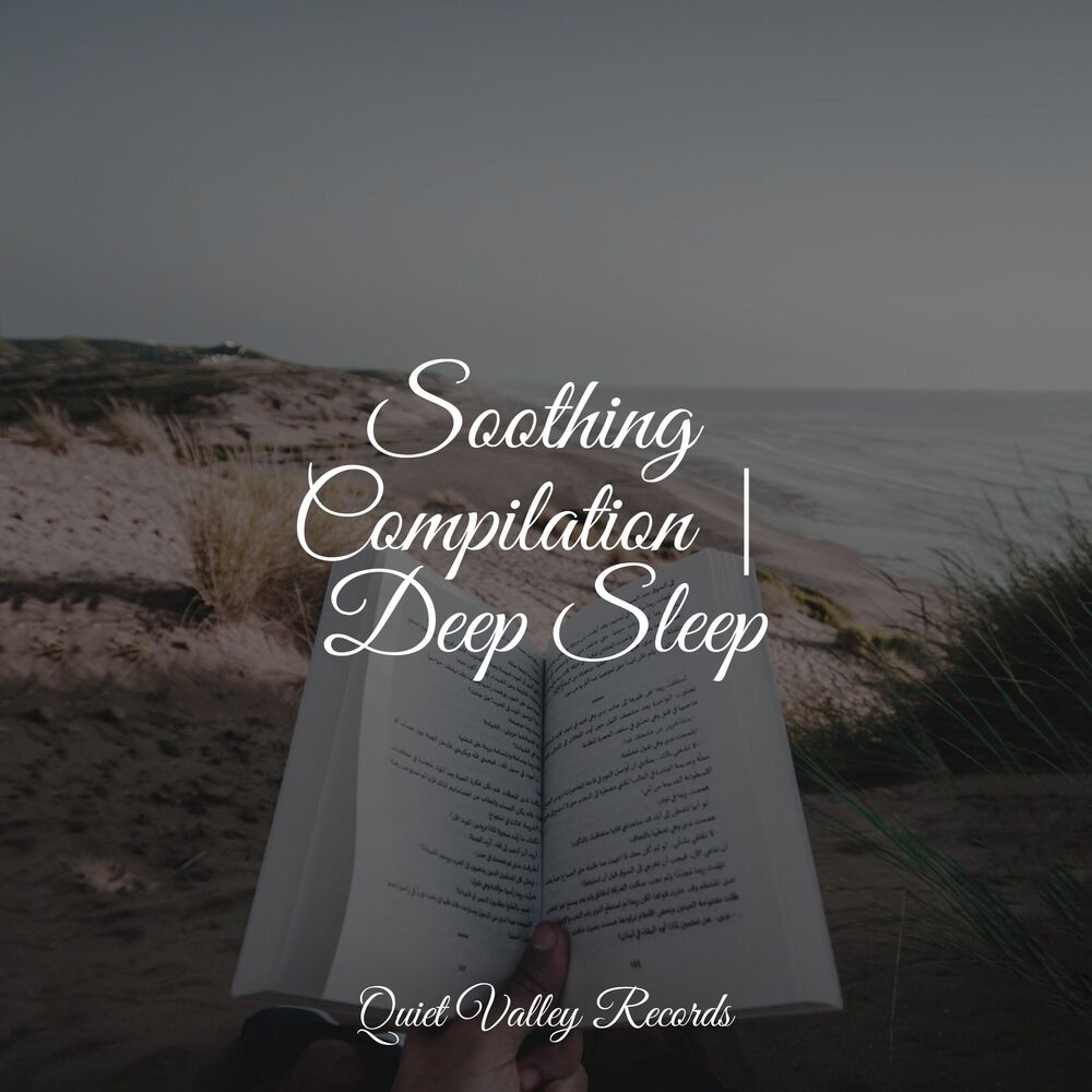 Picture of Soothing Compilation | Deep Sleep