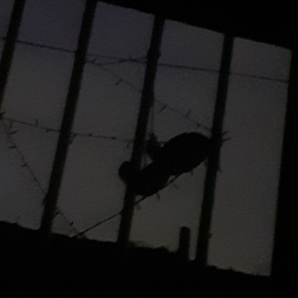 Picture of Calafrios