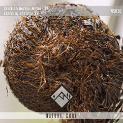 Cover of Eternity at home EP