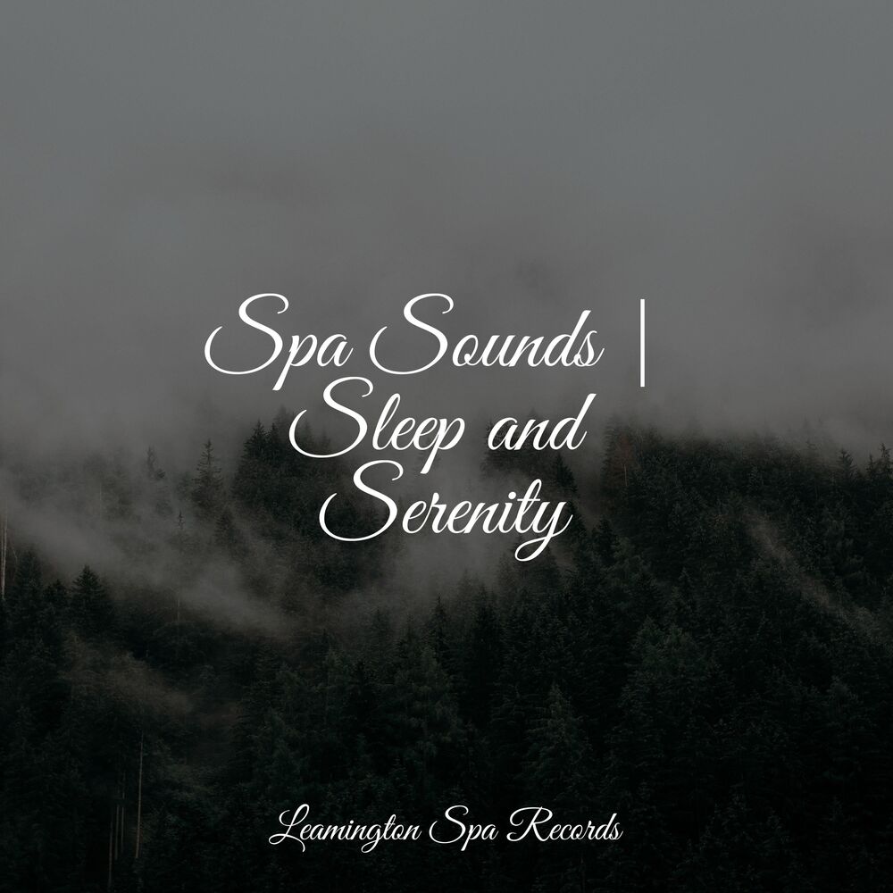 Picture of Spa Sounds | Sleep and Serenity