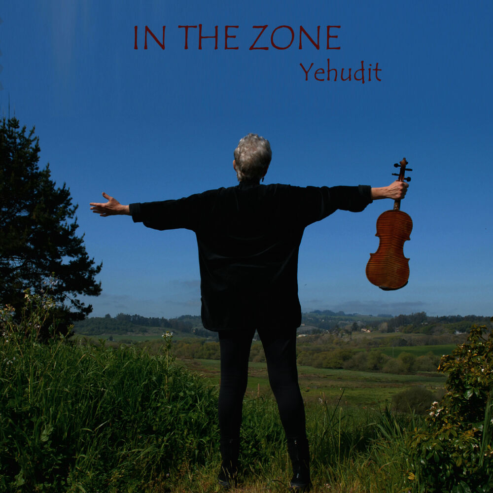 Picture of In the Zone