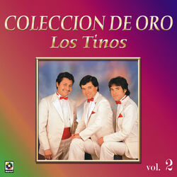 Cover of Colección De Oro, Vol. 2