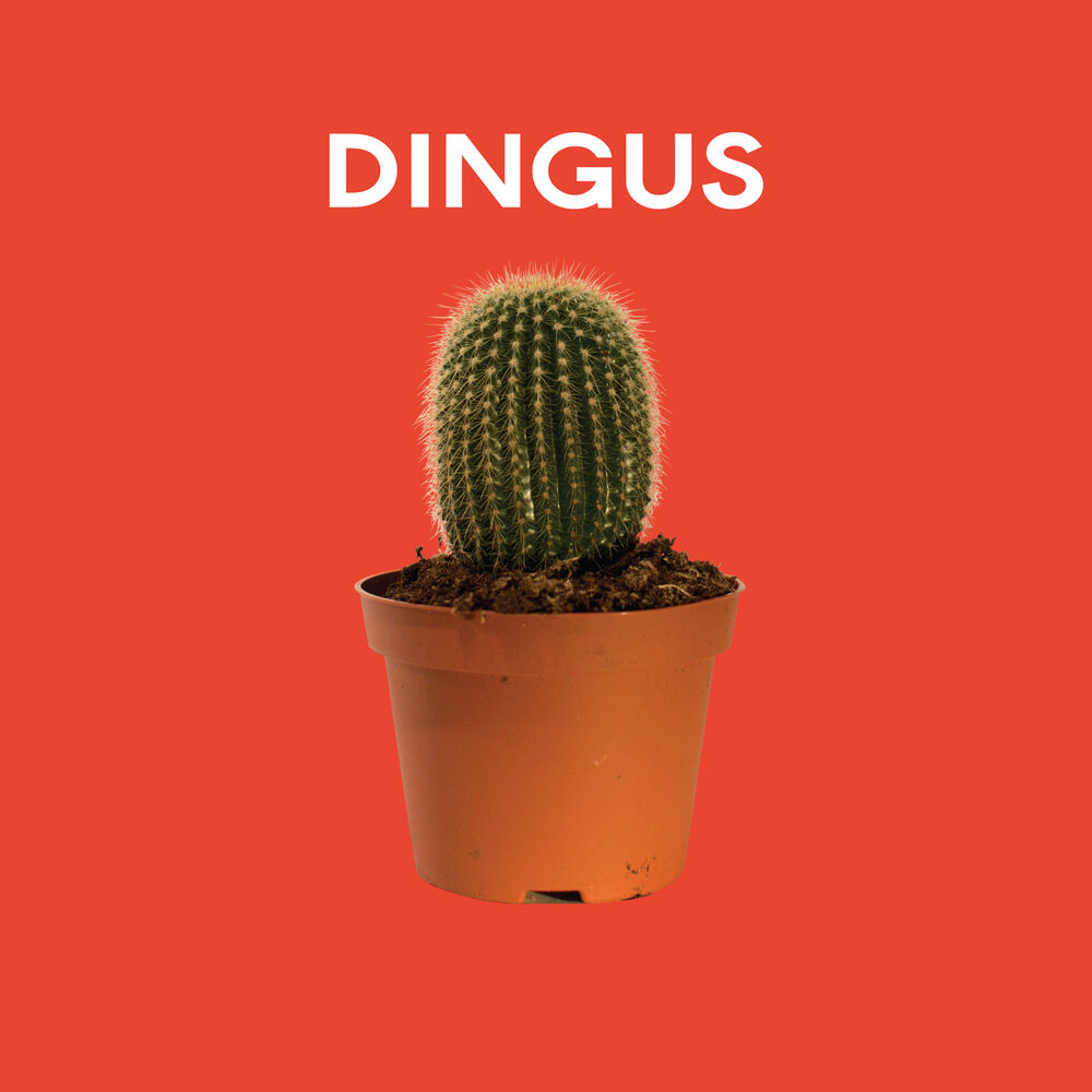 Picture of Dingus