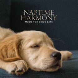 Cover of Naptime Harmony