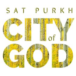 Cover of City of God
