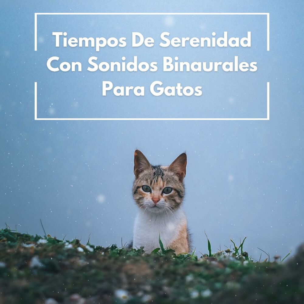 Picture of Tiempos De Serenidad Con Sonidos Binaurales Para Gatos
