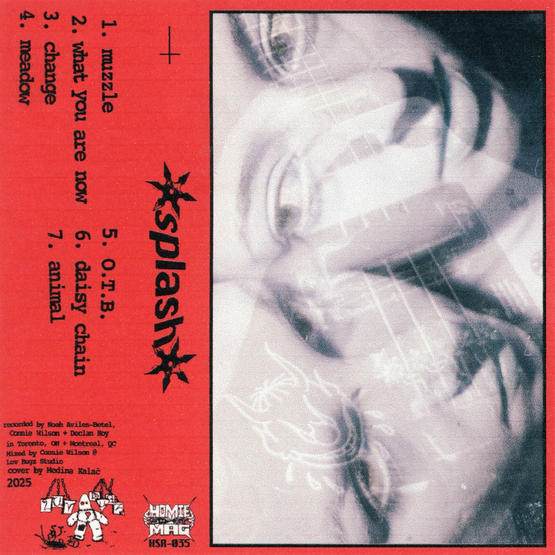 Album cover of splash