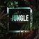 Jungle (feat. FUMI)