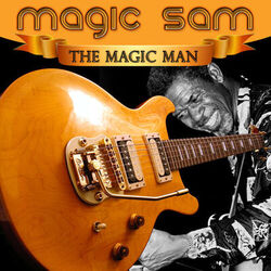 Cover of The Magic Man