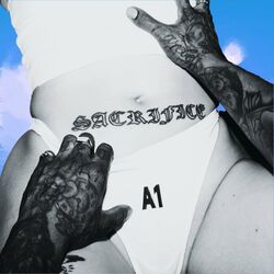 Cover of A1 Remix Pack