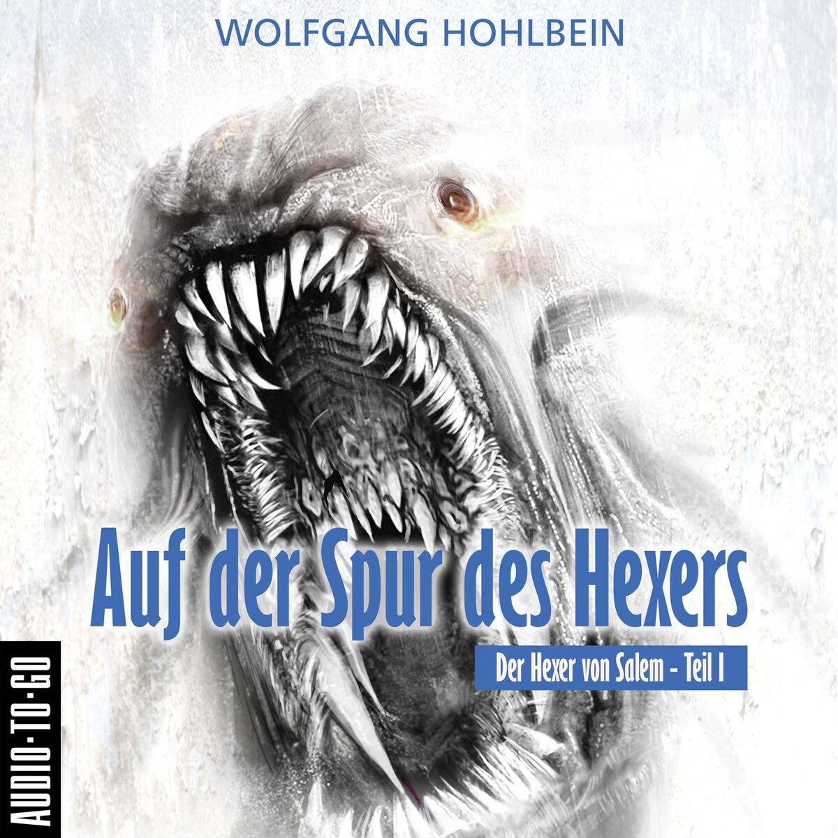Album cover of Auf der Spur des Hexers - Der Hexer von Salem 1 (Gekürzt)