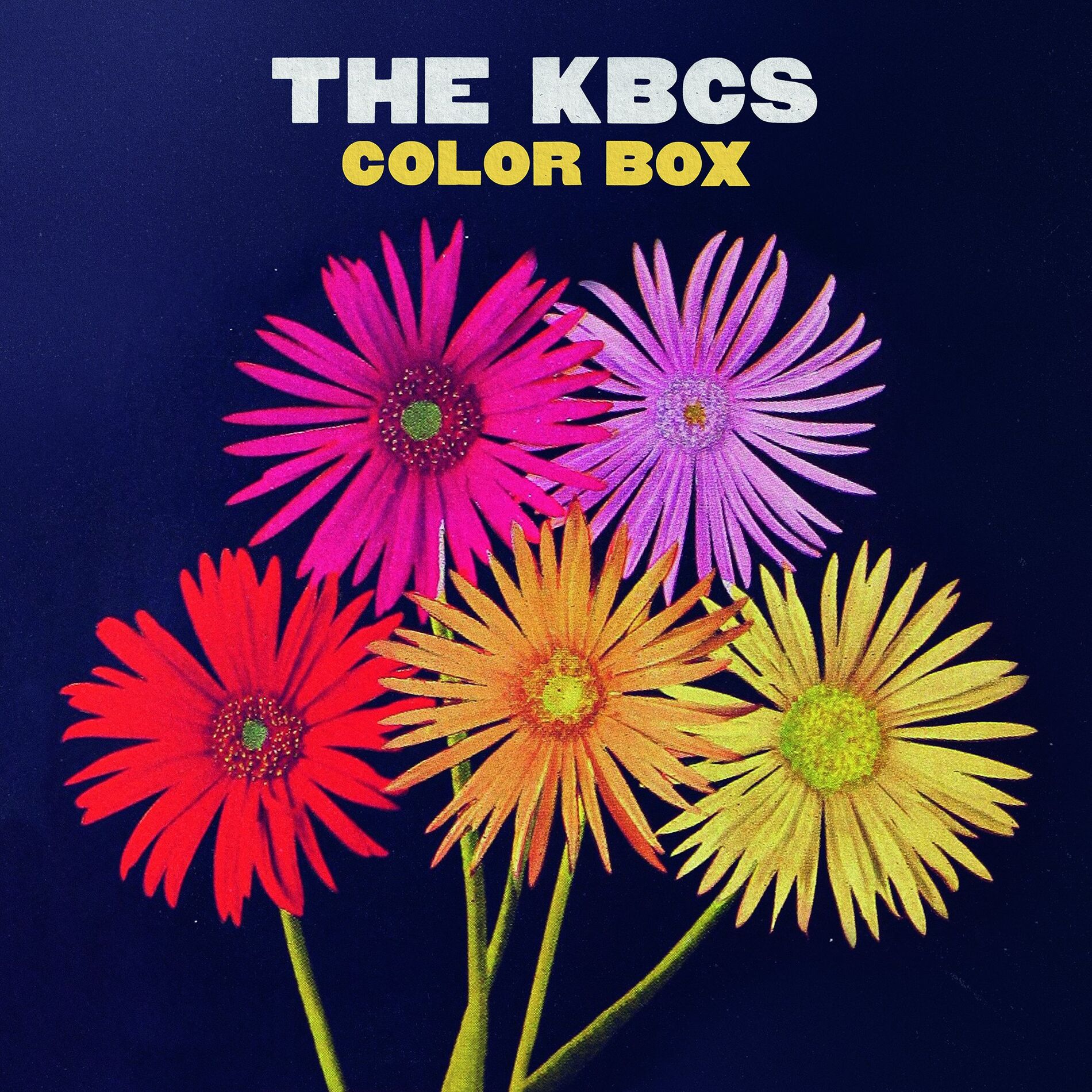 Album cover of The Center