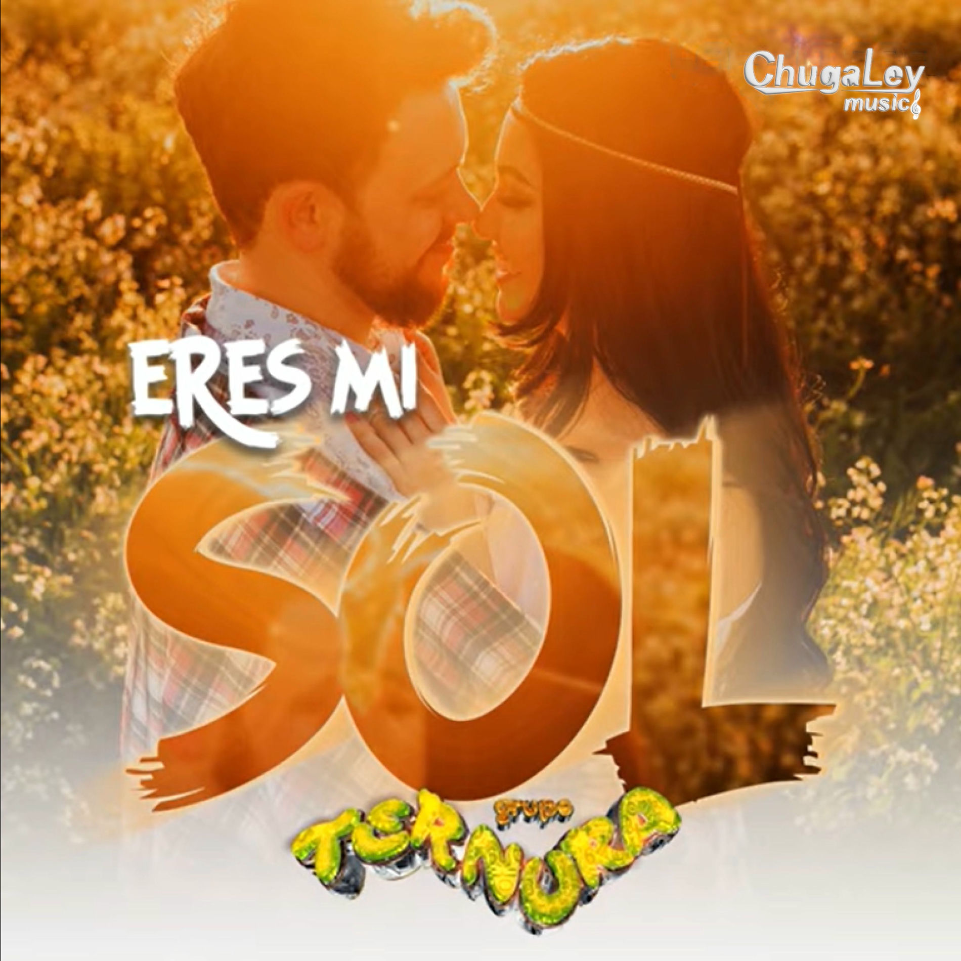 Album cover of Eres Mi Sol