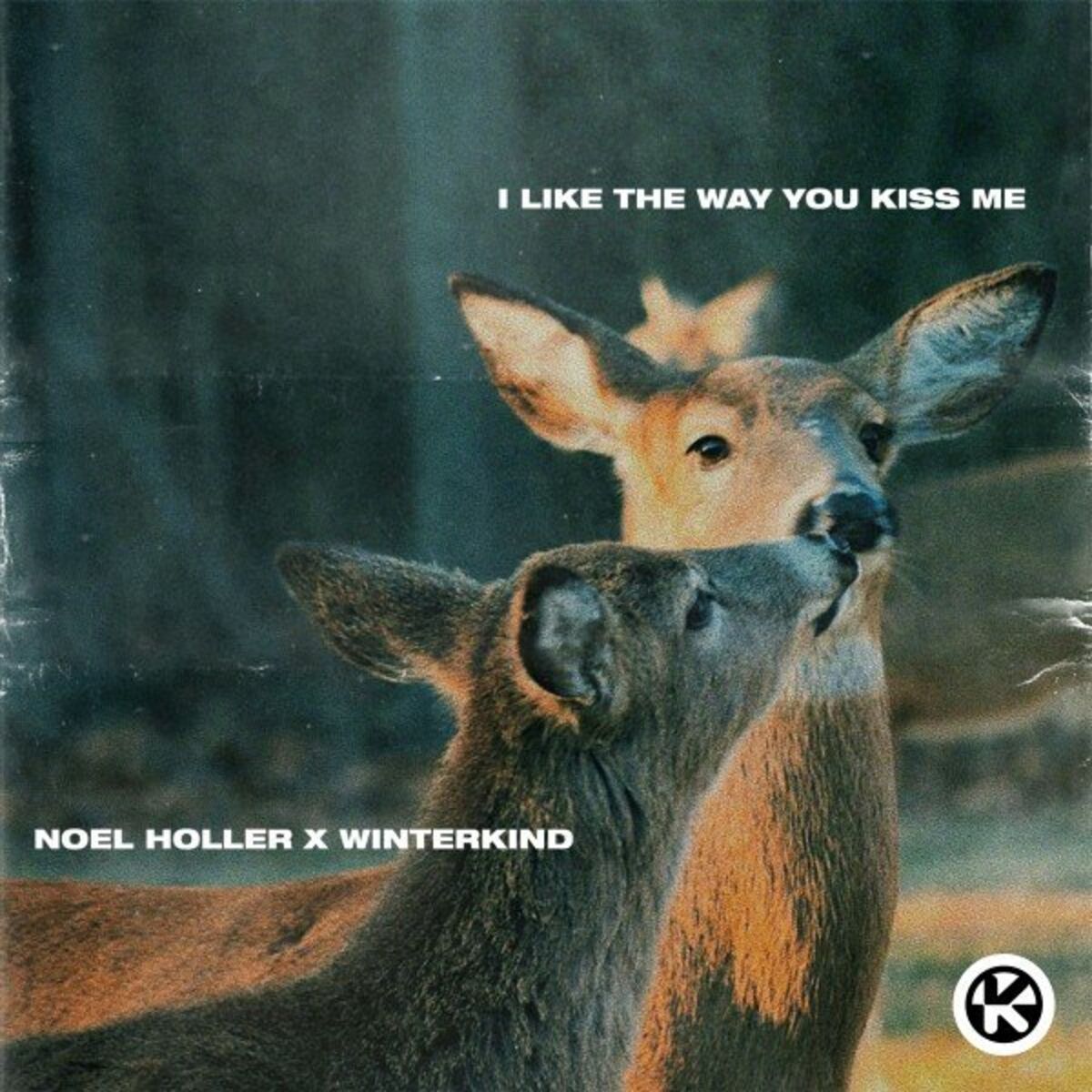 Album cover of i like the way you kiss me